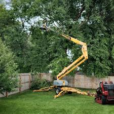 Lake Andes, SD  Tree Services Company